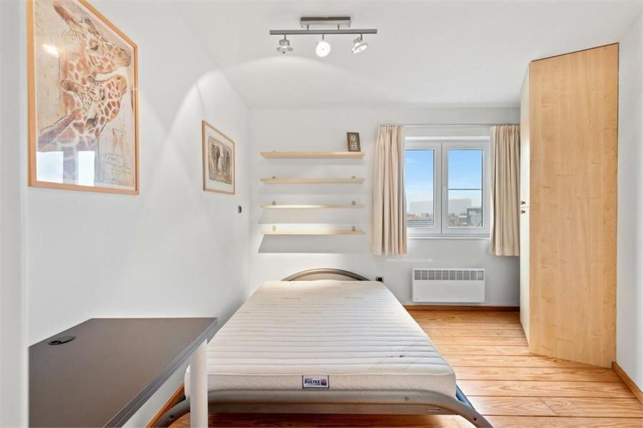 Luxury Penthouse In The Center Of T101